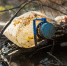 Собственник захламленного участка земли вблизи Степановки «нарвался» на санкции - Regions.Ru