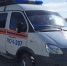 В Серебряных Прудах спасатели вытащили собаку из погреба и нашли ей новый дом - Regions.Ru